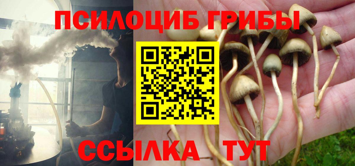 Волгоград  Псилоцибиновые грибы Psilocybine cubensis  Псилоцибиновые грибы Psilocybine cubensis  Вход с VPN 